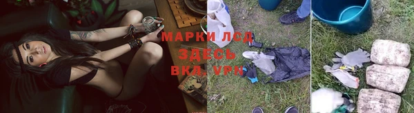 стаф Арсеньев